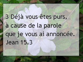 Jean 15.3.jpg