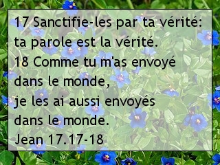 Jean 17.17-18.jpg