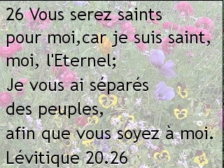 Lévitique 20.26.jpg