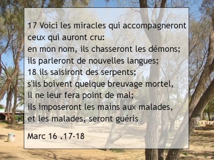 Marc 16 .17-18.jpg