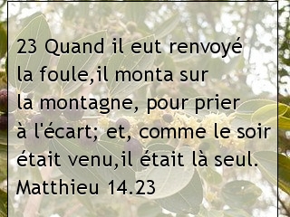 Matthieu 14.23.jpg