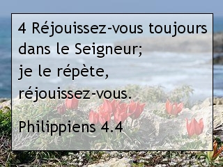 Philippiens 4.4.jpg