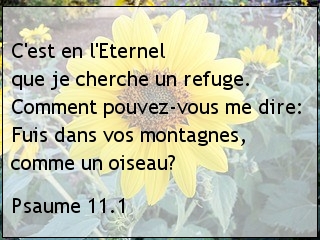 Psaume 11.1.jpg