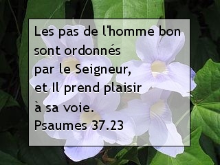 Psaumes 37.23