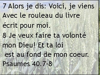 Psaumes 40.7-8.jpg
