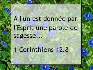 1 Corinthiens 12.8.jpg
