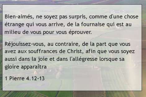 1 Pierre 4.12-13.jpg