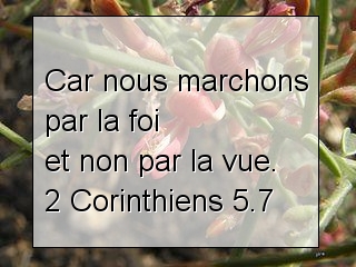 2 Corinthiens 5.7