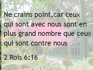 2 Rois 6.16