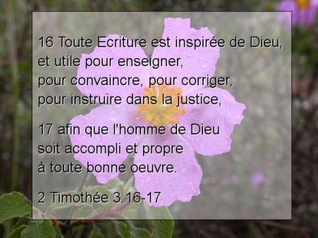 2 Timothée 3.16-17..jpg