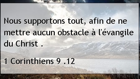5b5ccd2d283d2-text