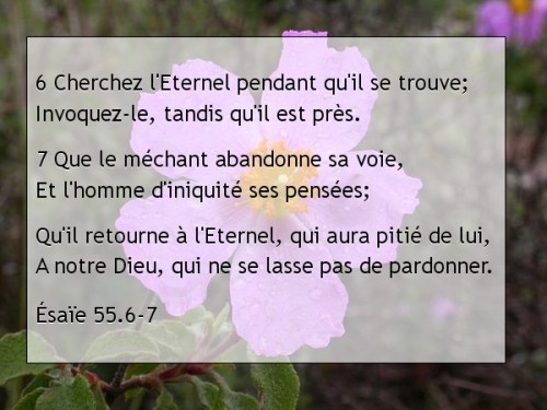 Ésaïe 55.6-7.jpg