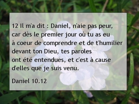 Daniel 10.12.jpg