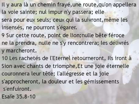 Esaïe 35.8-10.jpg