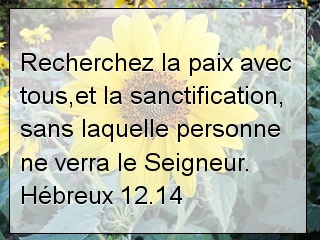Hébreux 12.14.jpg