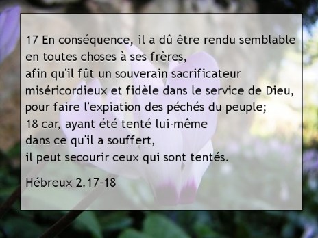 Hébreux 2.17-18.jpg