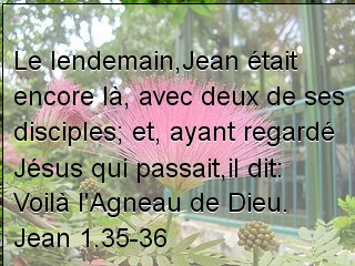 Jean 1.35-36