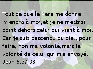 Jean 6.37-38.jpg