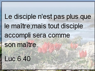 Luc 6.40.jpg
