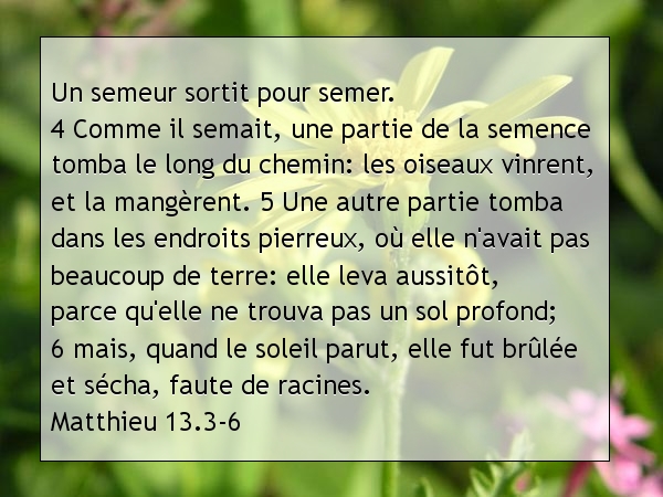 Matthieu 13.3-6