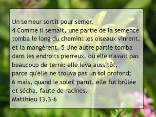 Matthieu 13.3-6