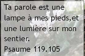 Psaume 119.105.jpg