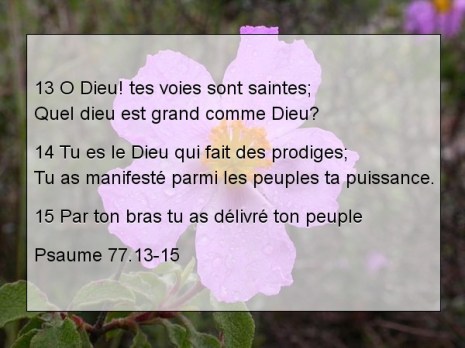 Psaume 77.13-15