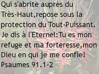 Psaumes 91.1-2