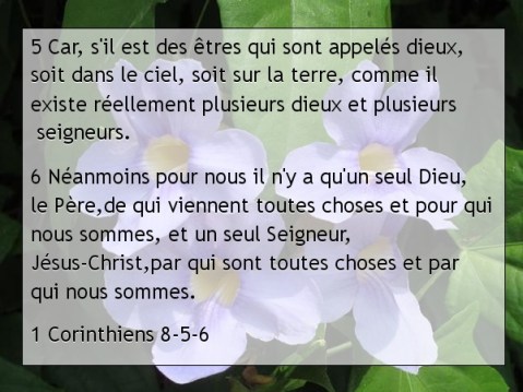 1 Corinthiens 8-5-6 ..jpg