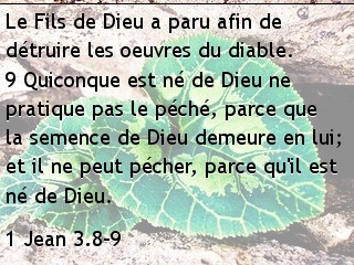 1 Jean 3.8-9.jpg
