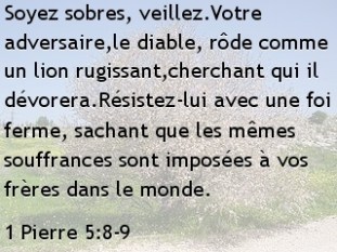 1 Pierre 5.8-9