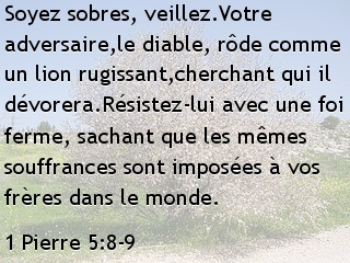 1 Pierre 5.8-9