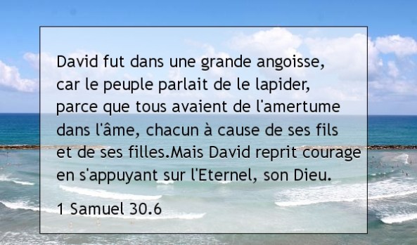 1 Samuel 30.6.jpg