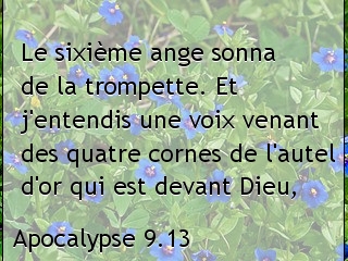 5b7dccdf382b3-text.jpg