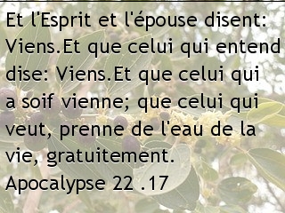 Apocalypse 22 .17.jpg