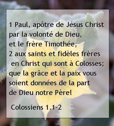 Colossiens 1.1-2