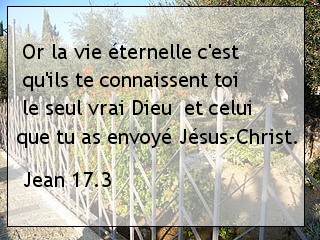 JEAN 17.3