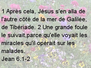 Jean 6.1-2.jpg