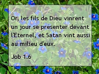 Job 1.6.jpg