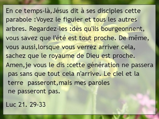 Luc 21. 29-33