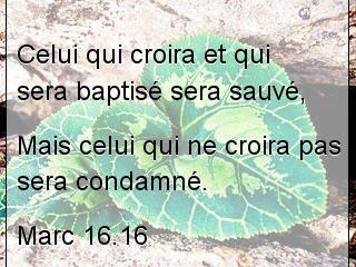Marc 16.16