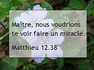 Matthieu 12.38.jpg