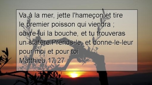 Matthieu 17.27.jpg