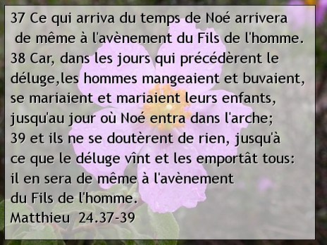 Matthieu  24.37-39.jpg