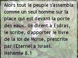 Néhémie 8.1.jpg