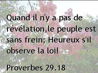 Proverbes 29.18.jpg