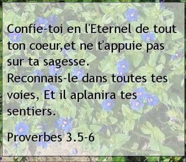 Proverbes 3.5-6.jpg