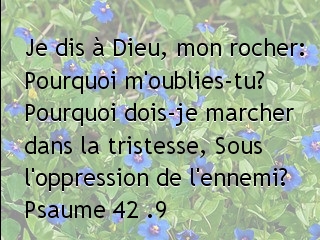 Psaume 42 .9.jpg
