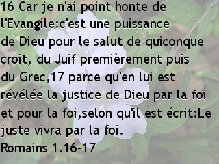 Romains 1.16-17.jpg