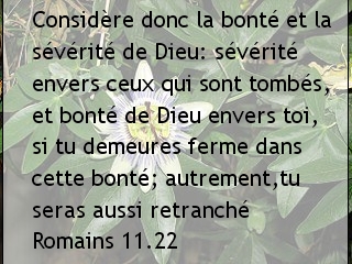 Romains 11.22